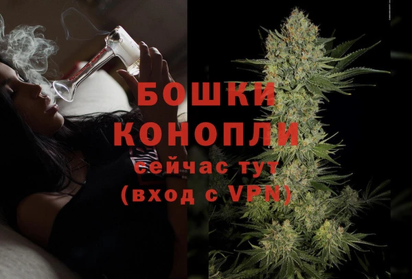 тгк Лиски