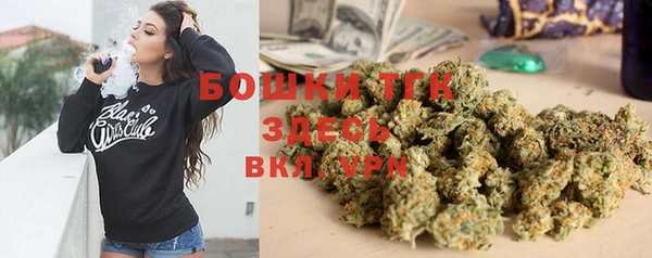тгк Лиски