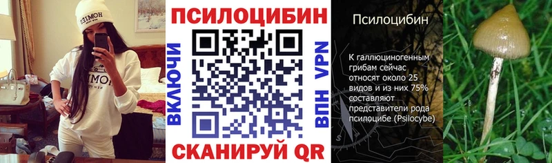 Галлюциногенные грибы ЛСД  Купить закладки  Ельня 