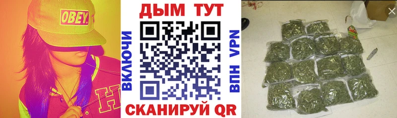 Купить  Ельня  Марихуана SATIVA & INDICA 